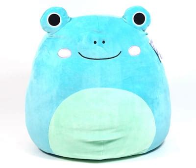 Frog with witch hst squishmallow